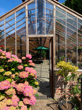 Load image into Gallery viewer, Pilates & Lattes at Alexandra Park Sunday 20th September