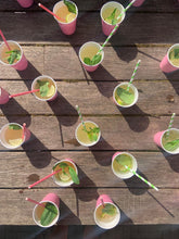 Load image into Gallery viewer, Pilates &amp; Lattes Mini Retreat Saturday 15th August at The Orangery
