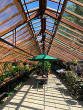 Load image into Gallery viewer, Pilates &amp; Lattes at Alexandra Park Sunday 20th September

