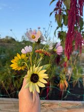 Load image into Gallery viewer, Blooms &amp; Beads Autumn Equinox Workshop (kids)
