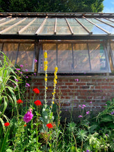 Load image into Gallery viewer, Pilates &amp; Lattes at Alexandra Park Sunday 20th September
