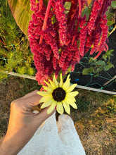 Load image into Gallery viewer, Blooms &amp; Beads Autumn Equinox Workshop (kids)
